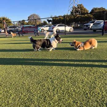 Foster City Dog Park photo 2